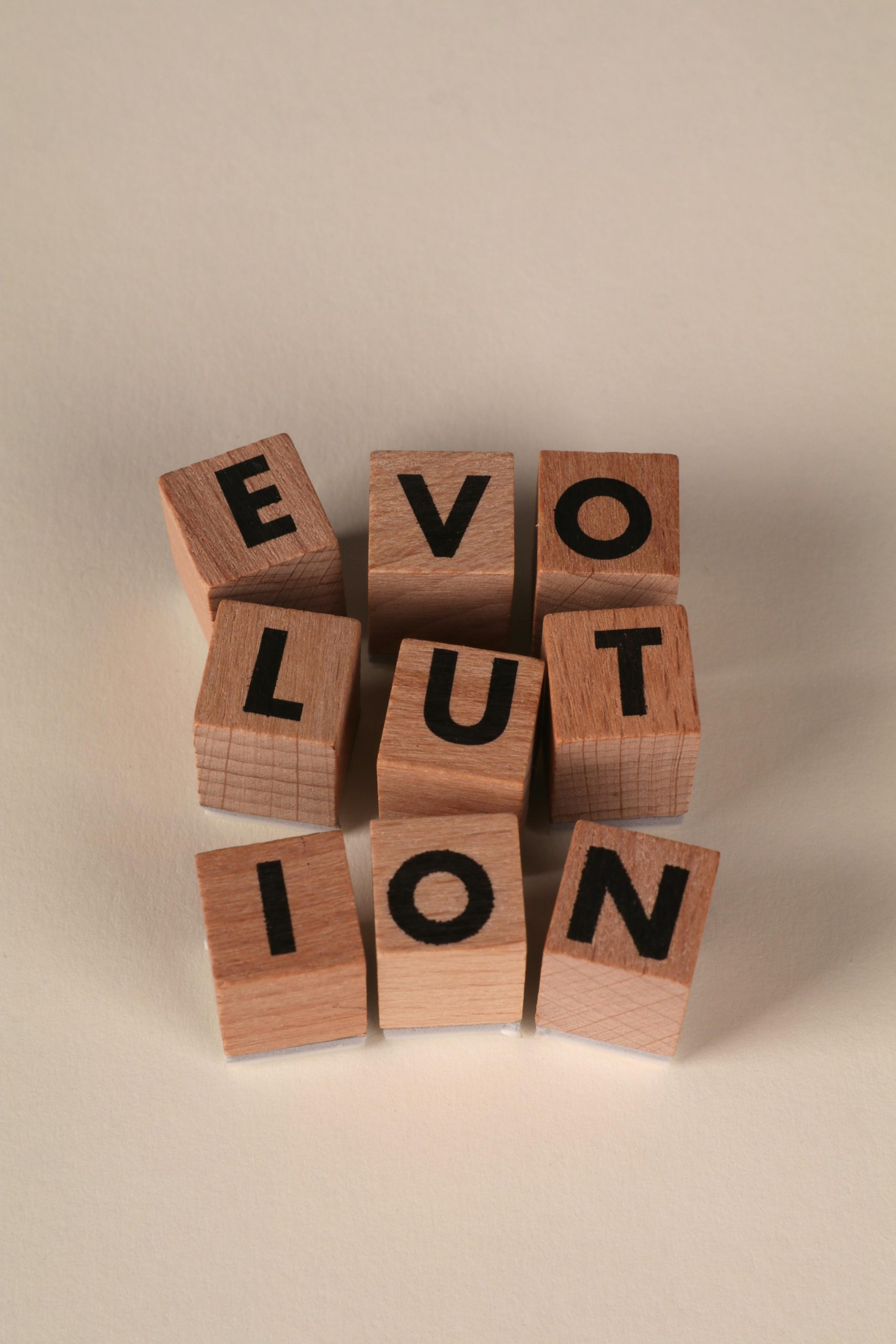 From Pocket Protectors to Power Players: The Evolution of the Accountant